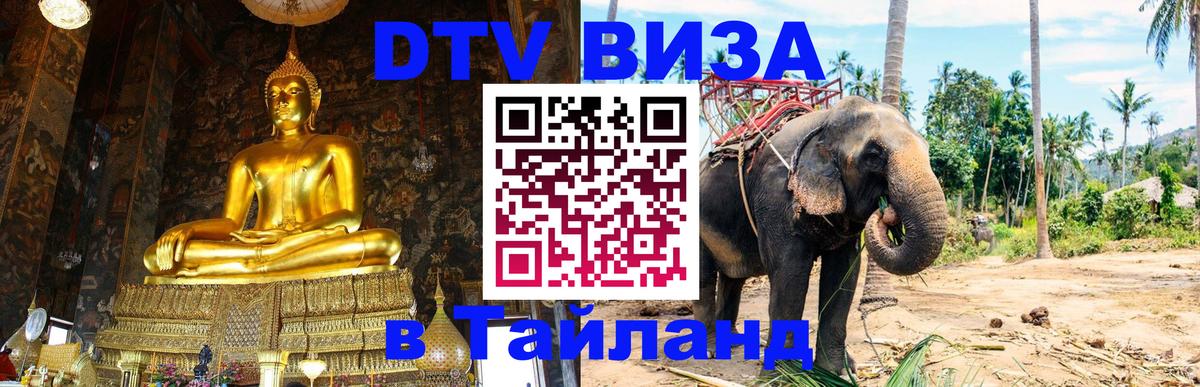 Электронная виза DTV в Тайланд Вильнюс 